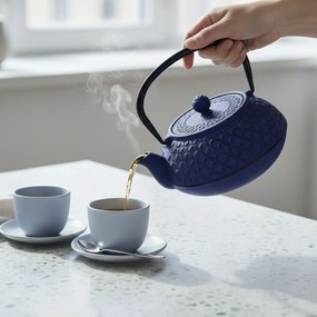 Czajnik żeliwny z zaparzaczem SABI, 1000 ml