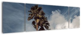 Obraz - Palmowy dramat (170x50 cm)