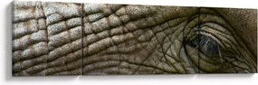 Obraz - Zbliżenie na stare oko słonia (170x50 cm)