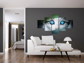 Obraz kota (125x70 cm)