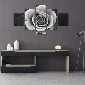 Obraz róży (125x70 cm)