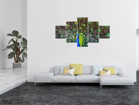 Obraz - Paw (125x70 cm)