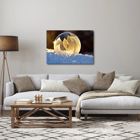 Obraz zamrożonej bańki (70x50 cm)