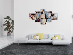 Obraz muszelek (125x70 cm)