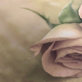 Obraz - Delikatne róże (125x70 cm)