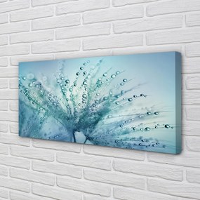 Obraz canvas na ścianę Ulotne Krople na Dmuchawcu