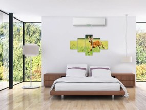 Obraz - Sarna (125x70 cm)