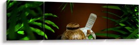 Obraz rzeczy spa (170x50 cm)