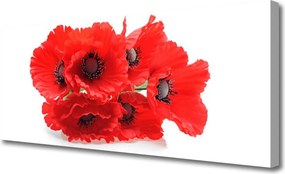 Obraz drukowany na płótnie Zestawienie Kwiatowych Motywów