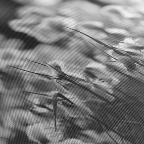 Obraz - Letnia łąka (170x50 cm)