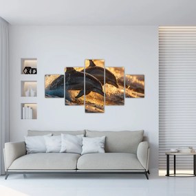 Obraz - Delfiny (125x70 cm)