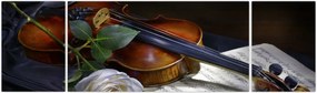 Obraz - Róże i skrzypce (170x50 cm)