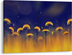 Obraz - Dmuchawce (70x50 cm)
