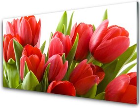 Szkło do Kuchni na Ścianę Wiosenna Świeżość Tulipanów