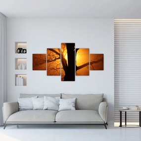 Obraz drzewa o zachodzie słońca (125x70 cm)