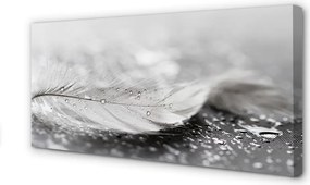 Obraz canvas na ścianę Delikatne Krople na Piórku