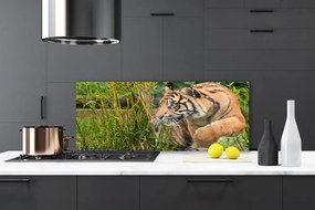 Panel nad blat kuchenny Majestatyczny Tygrys w Gęstwinie