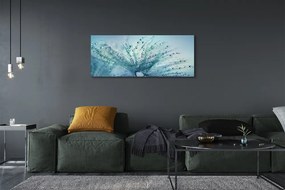 Obraz canvas na ścianę Ulotne Krople na Dmuchawcu