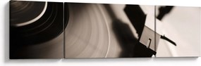 Obraz - Płyta gramofonowa (170x50 cm)