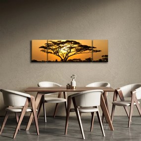 Obraz - Afrykańska sawanna (170x50 cm)