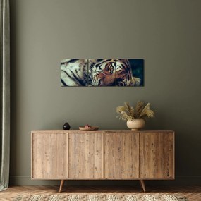 Obraz - tygrys syberyjski (z zegarem) (90x30 cm)