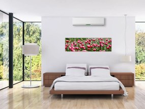 Obraz tulipanów (170x50 cm)