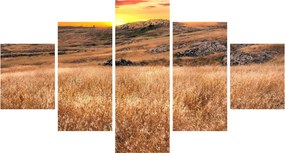 Obraz pola (125x70 cm)