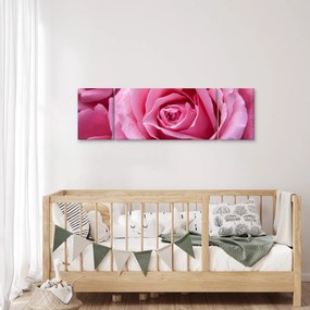 Obraz róży (170x50 cm)