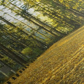 Obraz - las jesienią (z zegarem) (90x30 cm)