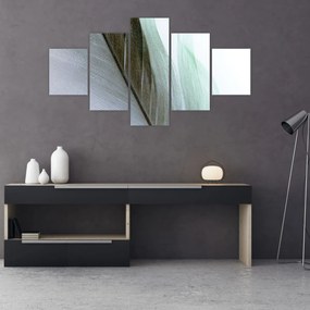Obraz - Pióra, makro (125x70 cm)