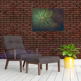 Obraz - Detal sosny (70x50 cm)