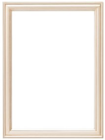 Rama Ricca 60x80cm silver