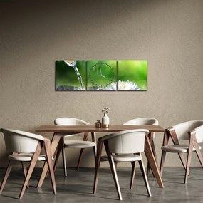 Obraz - Lotos (z zegarem) (90x30 cm)