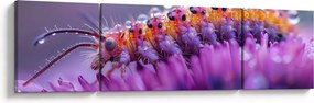 Obraz - Caterpillar (170x50 cm)