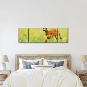 Obraz - Sarna (170x50 cm)