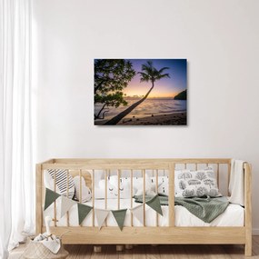 Obraz na szkle palmy na plaży (70x50 cm)