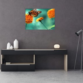 Obraz na szkle motyla (70x50 cm)