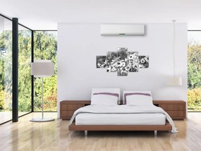 Obraz - Stokrotki (125x70 cm)