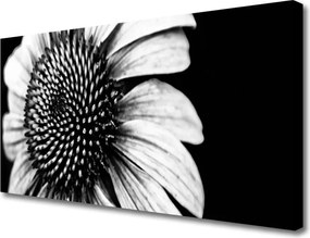 Obraz drukowany na płótnie Rozkwitająca Natura