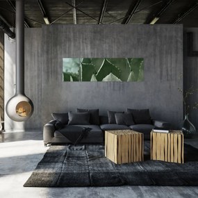 Obraz - Zielona agawa (170x50 cm)