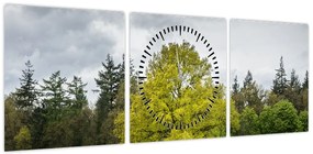 Obraz zielonego drzewa na środku pola (z zegarem) (90x30 cm)