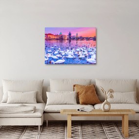 Obraz - Praga (70x50 cm)