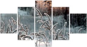 Obraz - Frozen Meadow (125x70 cm)