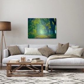 Obraz drogi wysadzanej drzewami (70x50 cm)