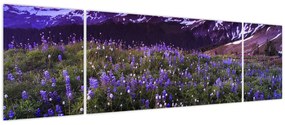 Obraz - Wulkan i kwiaty (170x50 cm)