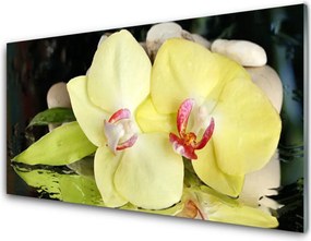 Szkło Ozdobne do Kuchni Detale Delikatnych Płatków