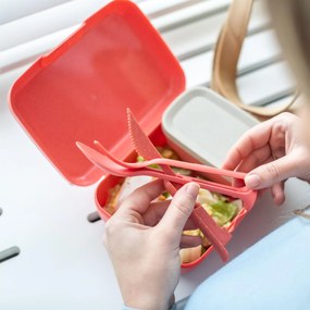 Śniadaniówka z przegródkami CANDY READY + zestaw sztućców, 4 elementy, KOZIOL