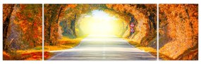 Obraz - Brama wykonana z koron drzew (170x50 cm)