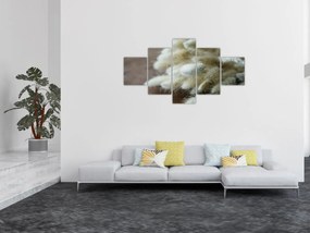 Obraz - Zajęczy ogonek (125x70 cm)