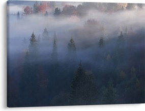 Obraz - Las we mgle, Karpaty, Ukraina (70x50 cm)